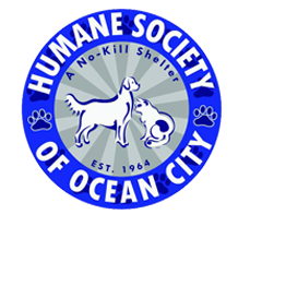 Humane Society of Ocean City | 1 Shelter Rd, Ocean City, NJ 08226, USA | Phone: (609) 398-9500