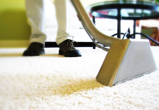 Mr. Steamer Carpet & Floor Cleaner | 8442 Boxwood Dr, Tampa, FL 33615 | Phone: (813) 898-9562