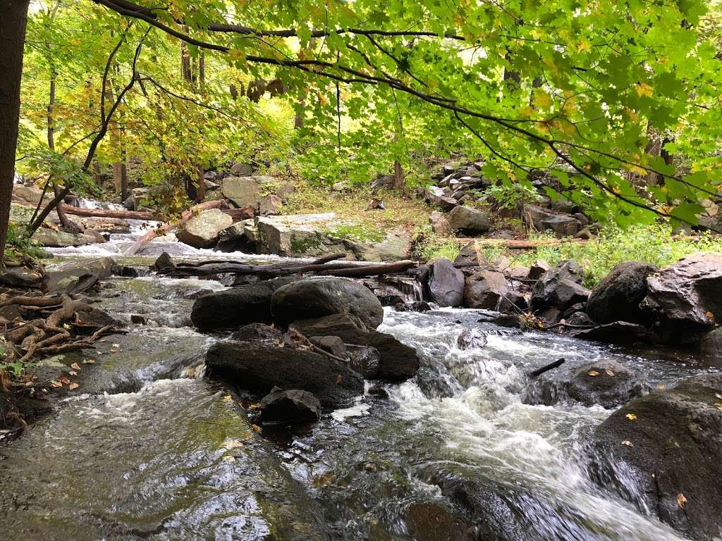 Big Hill & Jackie Jones Mountain trail | Stony Point, NY 10980