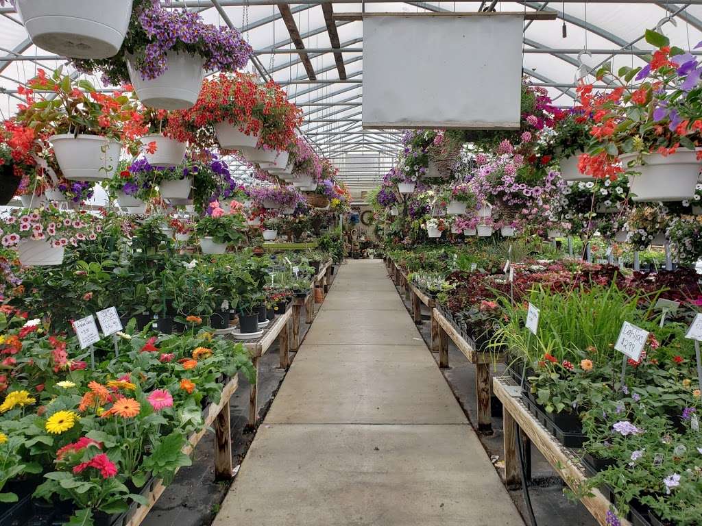 Shady Willow Greenhouse | 338 Willow Rd, Lancaster, PA 17601 | Phone: (717) 393-5064