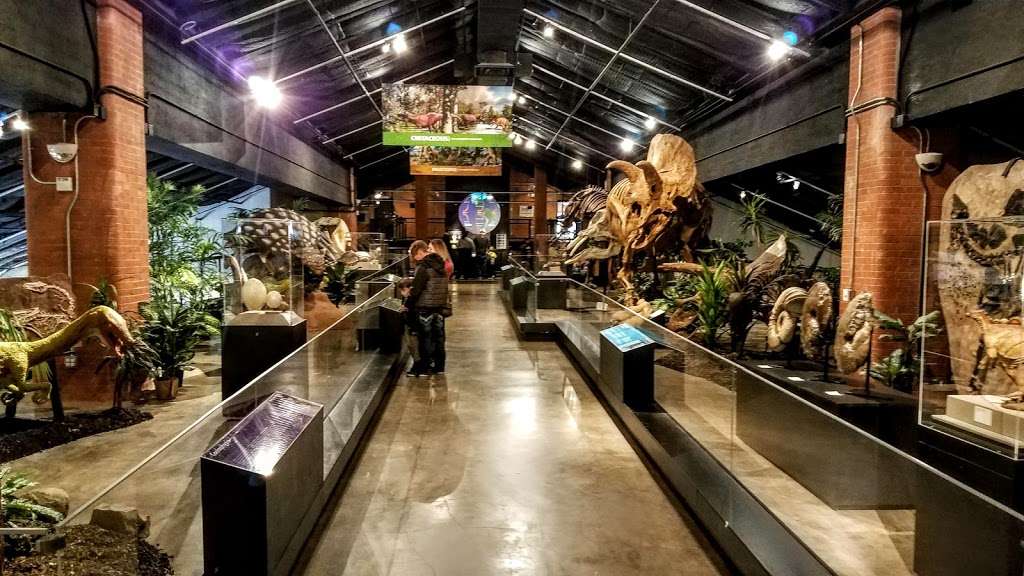 Houston Museum of Natural Science at Sugar Land | 13016 University Blvd, Sugar Land, TX 77479, USA | Phone: (281) 313-2277