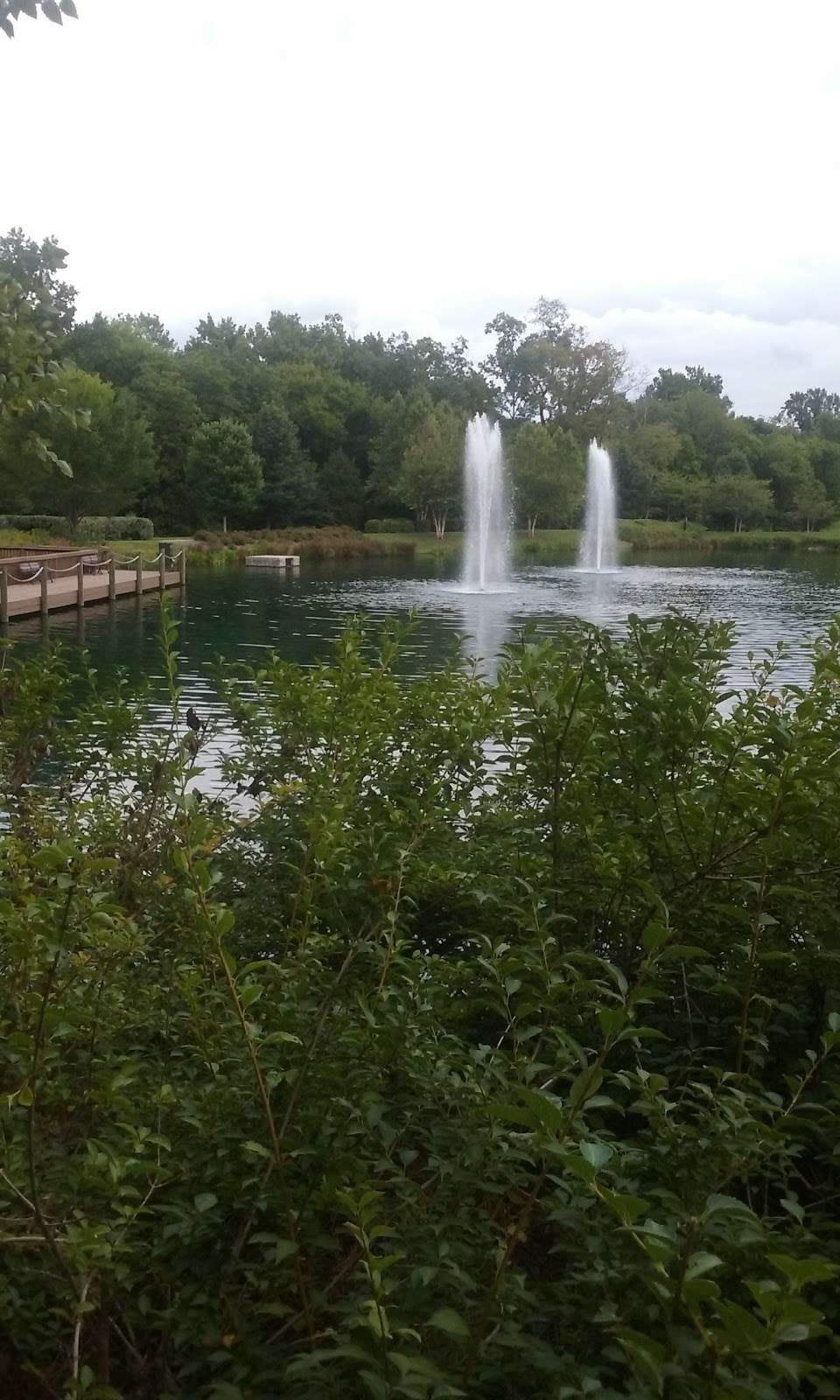 Kid Pond in 13520 Ballantyne Corporate Pl, Charlotte, NC 28277, USA