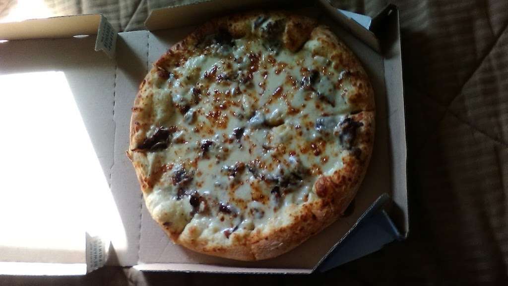 Dominos Pizza | 1828 Sheridan Rd, Zion, IL 60099, USA | Phone: (847) 746-2000