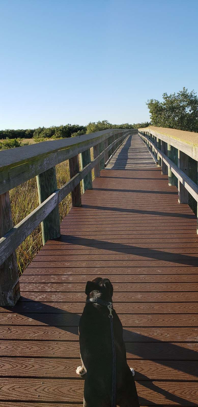 Ponce Inlet Preserve | Ponce Inlet, FL 32127, USA