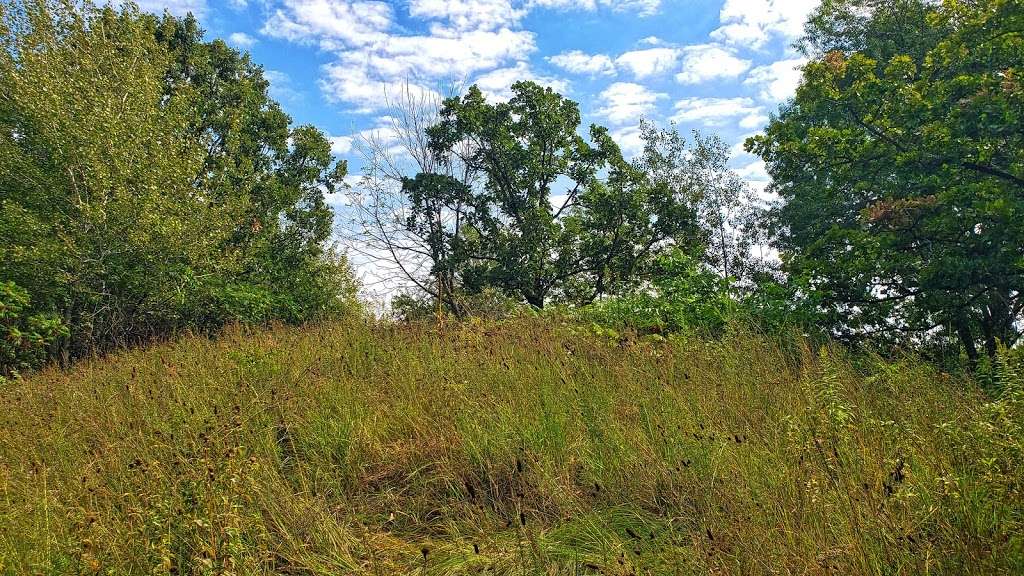 Rice Lake Dry Prairie State Natural Area | N7681 State Park Dr, Whitewater, WI 53190, USA