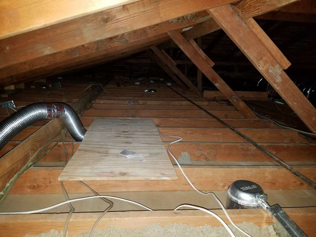 Attic Solutions - Rodent Proofing & Insulation Services | 3212 Deering St, Oakland, CA 94601, USA | Phone: (510) 500-5007