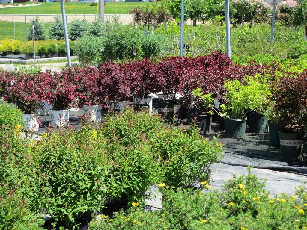 Stoughton Garden Center | 1471 US-51, Stoughton, WI 53589, USA | Phone: (608) 873-9602