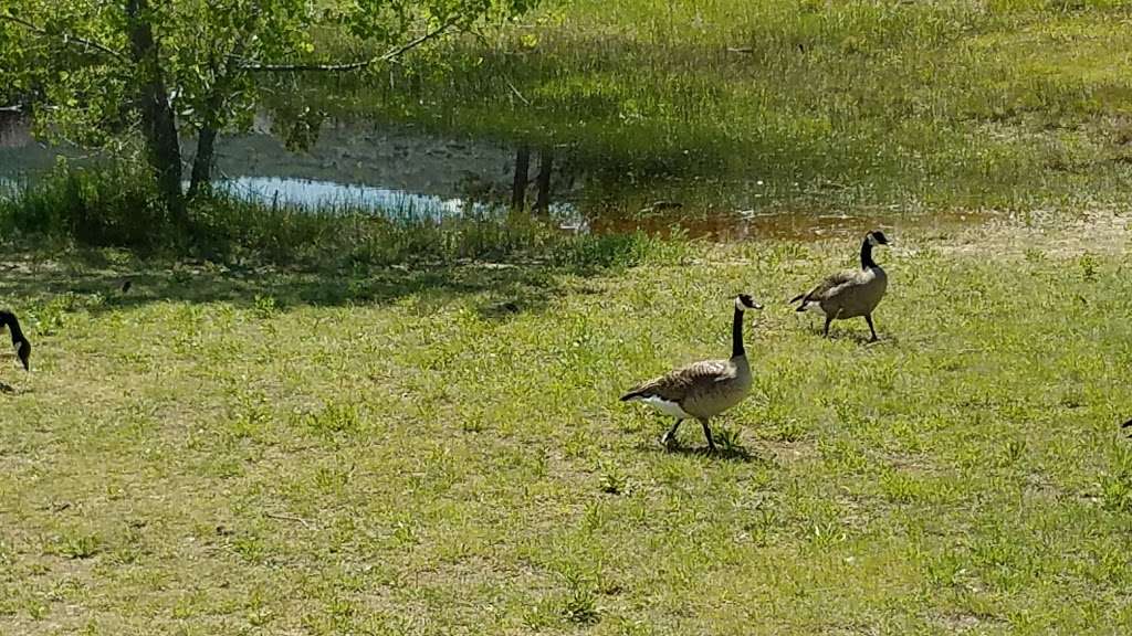 Trailmark Park | 8853 W Trailmark Pkwy, Littleton, CO 80127, USA | Phone: (303) 798-5131 Trailmark Park | 8853 W Trailmark Pkwy, Littleton, CO 80127, USA | Phone: (303) 798-5131