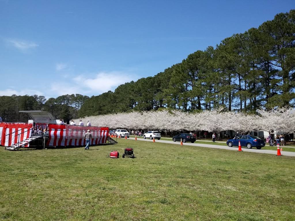 Cherry Blossom Trees | Sakura Ln, Virginia Beach, VA 23451, USA | Phone: (757) 437-2038