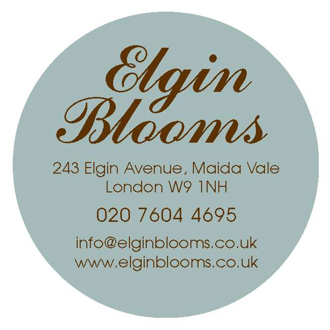 Elgin Blooms Maida Vale | 243 Elgin Ave, Maida Vale, London W9 1NH, UK | Phone: 020 7604 4695