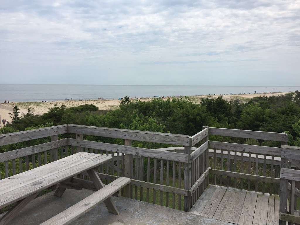 Bird Watching Station | Lewes, DE 19958