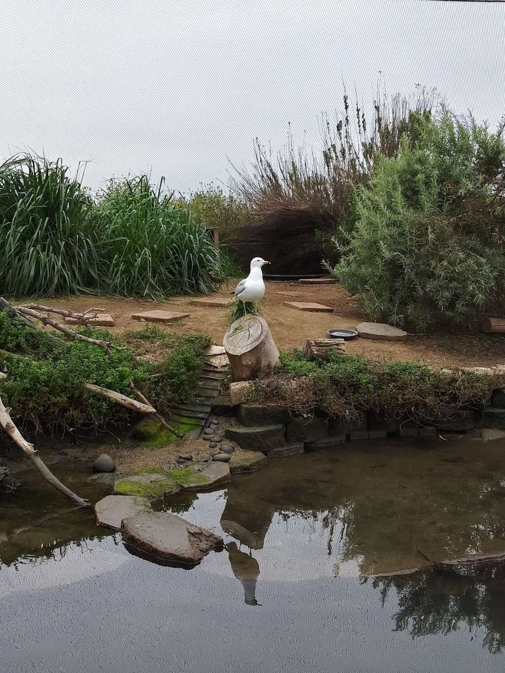 Living Coast Discovery Center | 1000 Gunpowder Point Dr, Chula Vista, CA 91910, USA | Phone: (619) 409-5900