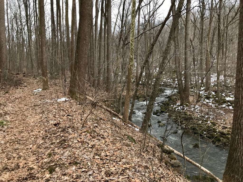 Middle Creek Hiking Trail | 21-27 Mountain Spring Rd, Newmanstown, PA 17073, USA