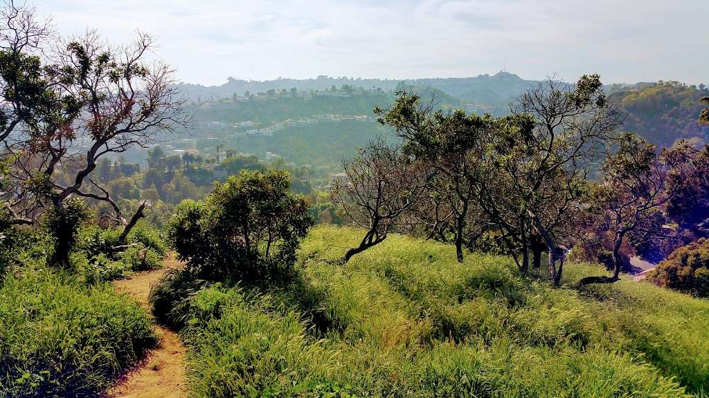 Runyon Canyon North Entrance | 7317 Mulholland Dr, Los Angeles, CA 90046, USA