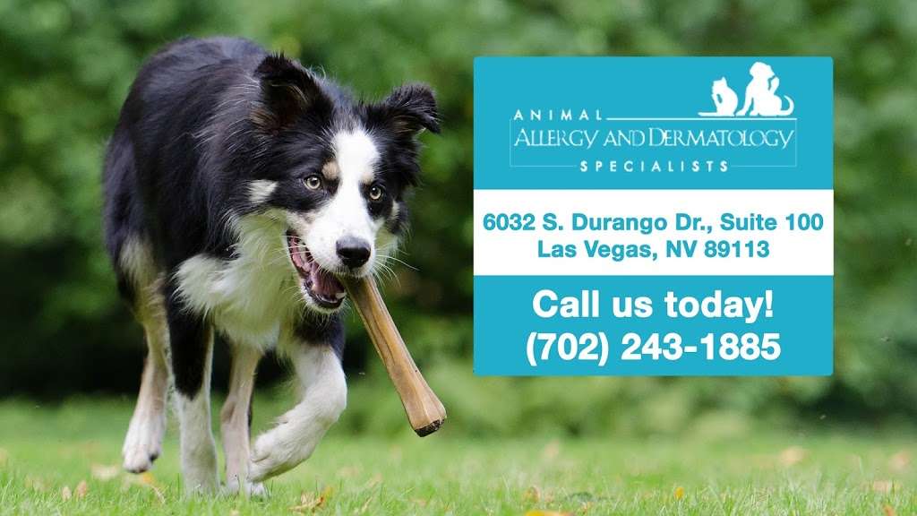 Animal Allergy & Dermatology Specialists | 6032 S Durango Dr, Las Vegas, NV 89113, USA | Phone: (702) 243-1885