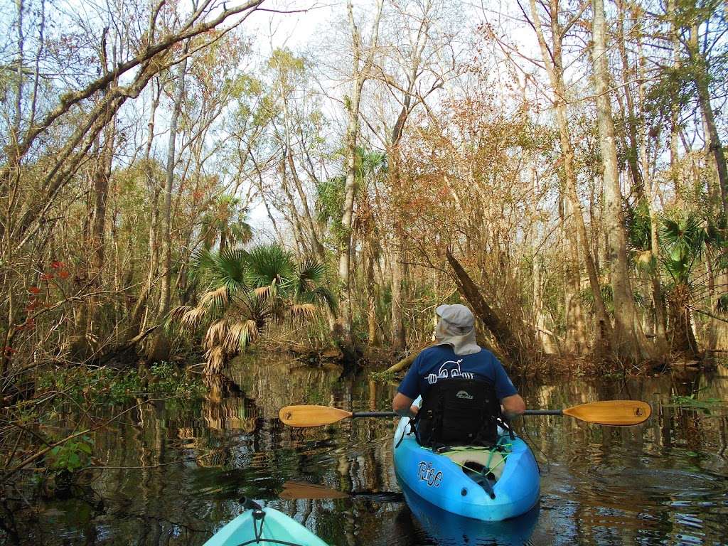 Lake Norris Conservation Area East Trailhead | 24542 Blackwater Creek Rd, Eustis, FL 32736 | Phone: (386) 329-4404