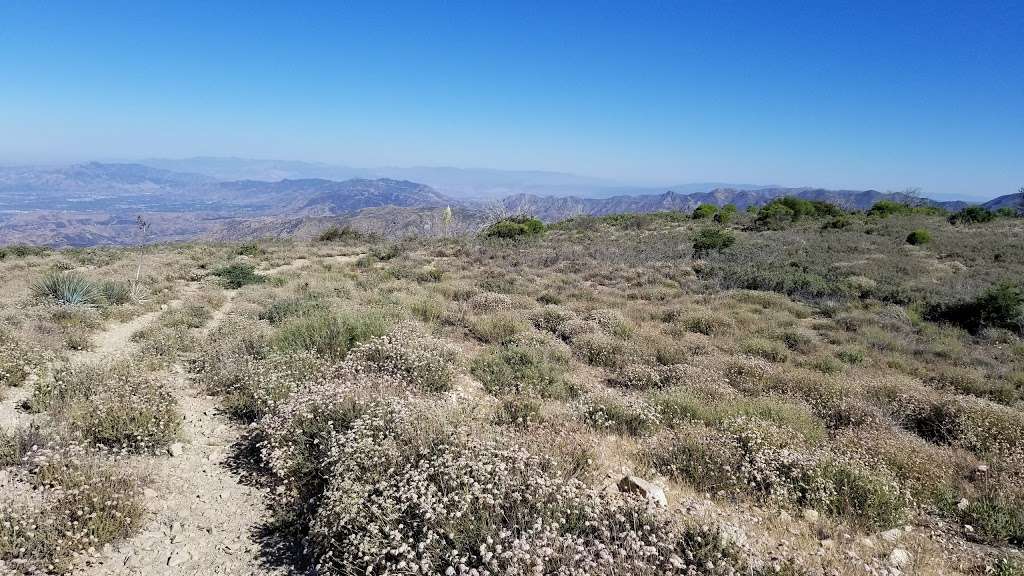 Stone Canyon Trailhead | 2408 Stonyvale Rd, Tujunga, CA 91042