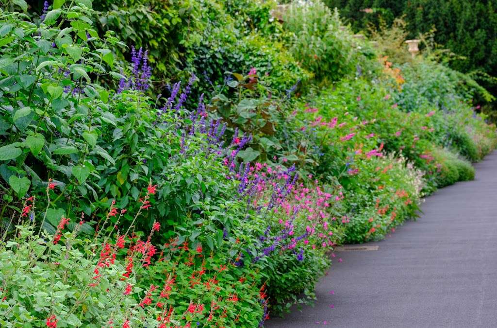 The Rock Garden | Kew Gardens, Richmond TW9 3DU, UK