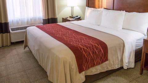 Comfort Inn Dfw Airport North | 5000 W John Carpenter Fwy, Irving, TX 75063 | Phone: (972) 929-5757