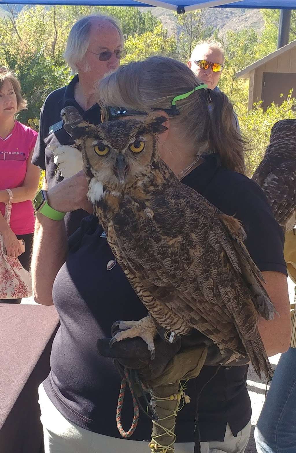 Audubon Center at Chatfield | 11280 Waterton Rd, Littleton, CO 80125, USA | Phone: (303) 973-9530