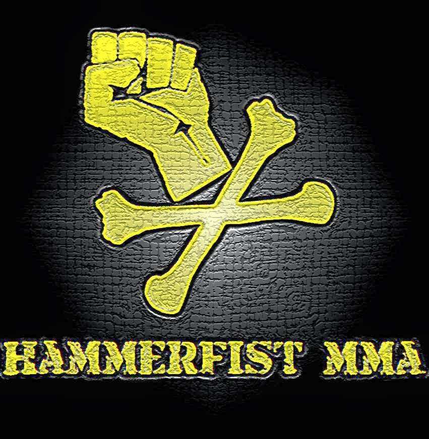 HammerFist MMA | 310 Lincoln, Raymore, MO 64083, USA | Phone: (816) 352-5766