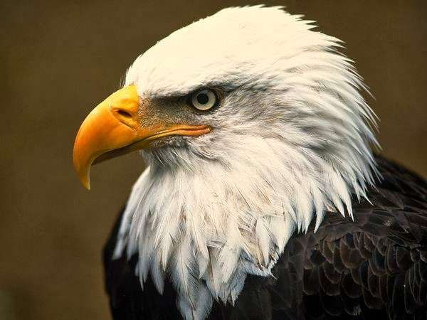 Maurice River Cruises | Ware Ave, Millville, NJ 08332, USA | Phone: (856) 327-1530