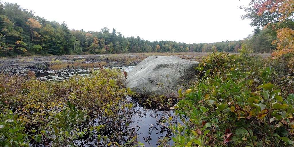 F Gilbert Hills State Forest 45 Mill St Foxborough Ma 02035 Usa