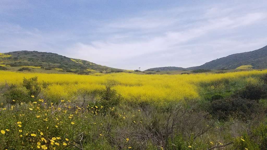 Ranger Station and Visitor Center | 8471 N Pacific Coast Hwy, Laguna Beach, CA 92651, USA | Phone: (949) 494-9143