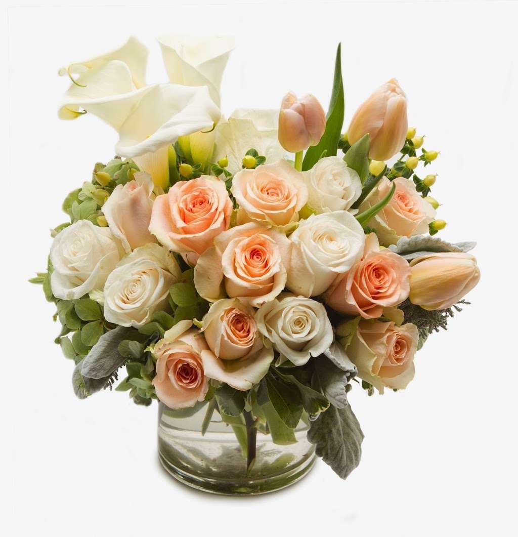 My Fair Ladys Flowers | 2691 N Beachwood Dr, Hollywood, CA 90068, USA | Phone: (323) 466-5239