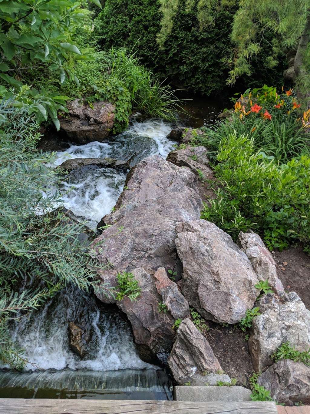 Dwarf Conifer Garden | Glencoe, IL 60022