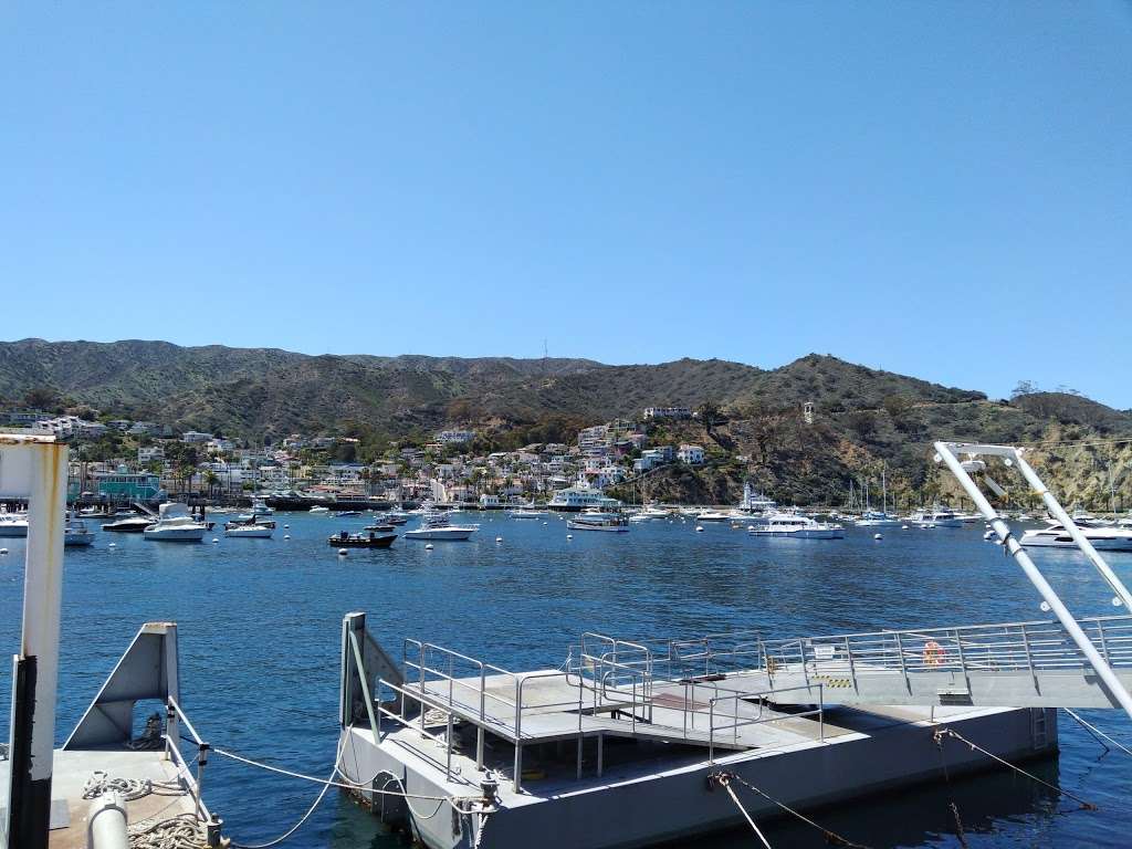 Catalina Ferry and Boat Terminal | Pebbly Beach Rd, Avalon, CA 90704 | Phone: (800) 613-1212