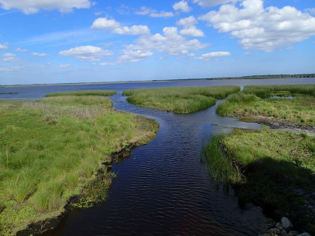 Salt Lake Wildlife Management Area | Mims, FL 32754, USA