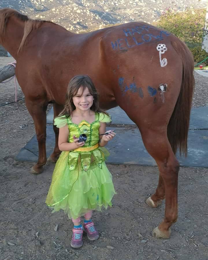Betty Boop Horse Riding | 16050 Running Deer Trail, Poway, CA 92064, USA | Phone: (760) 916-4931