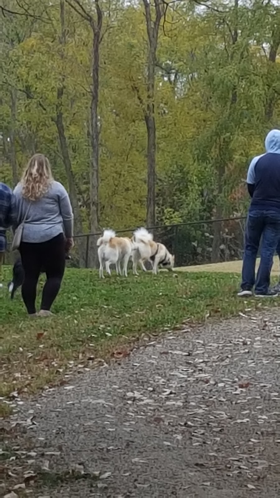 Corby Dog Park | 2200 Northeast Pkwy, St Joseph, MO 64506, USA | Phone: (816) 271-5500