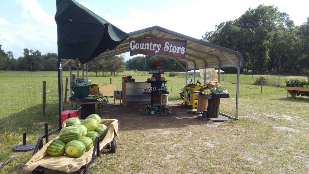 Dyess Family Farms/Fresh Produce | 5207, 1779 FL-471, Sumterville, FL 33585, USA | Phone: (352) 461-5054