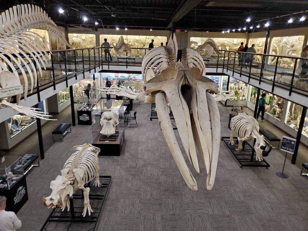 Museum of Osteology | 10301 S Sunnylane Rd, Oklahoma City, OK 73160, USA | Phone: (405) 814-0006