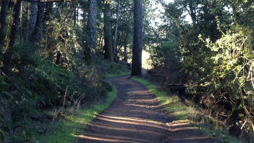 :Annadel Park: Parking for Cobblestone Loop Trail | Your directions send people to a private residence on, Skycrest Ct, Santa Rosa, CA 95405, USA