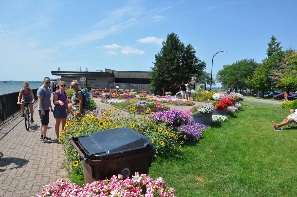 Joan and Victor Fuzak Memorial Garden | 329 Erie St, Buffalo, NY 14202, USA | Phone: (716) 695-3472