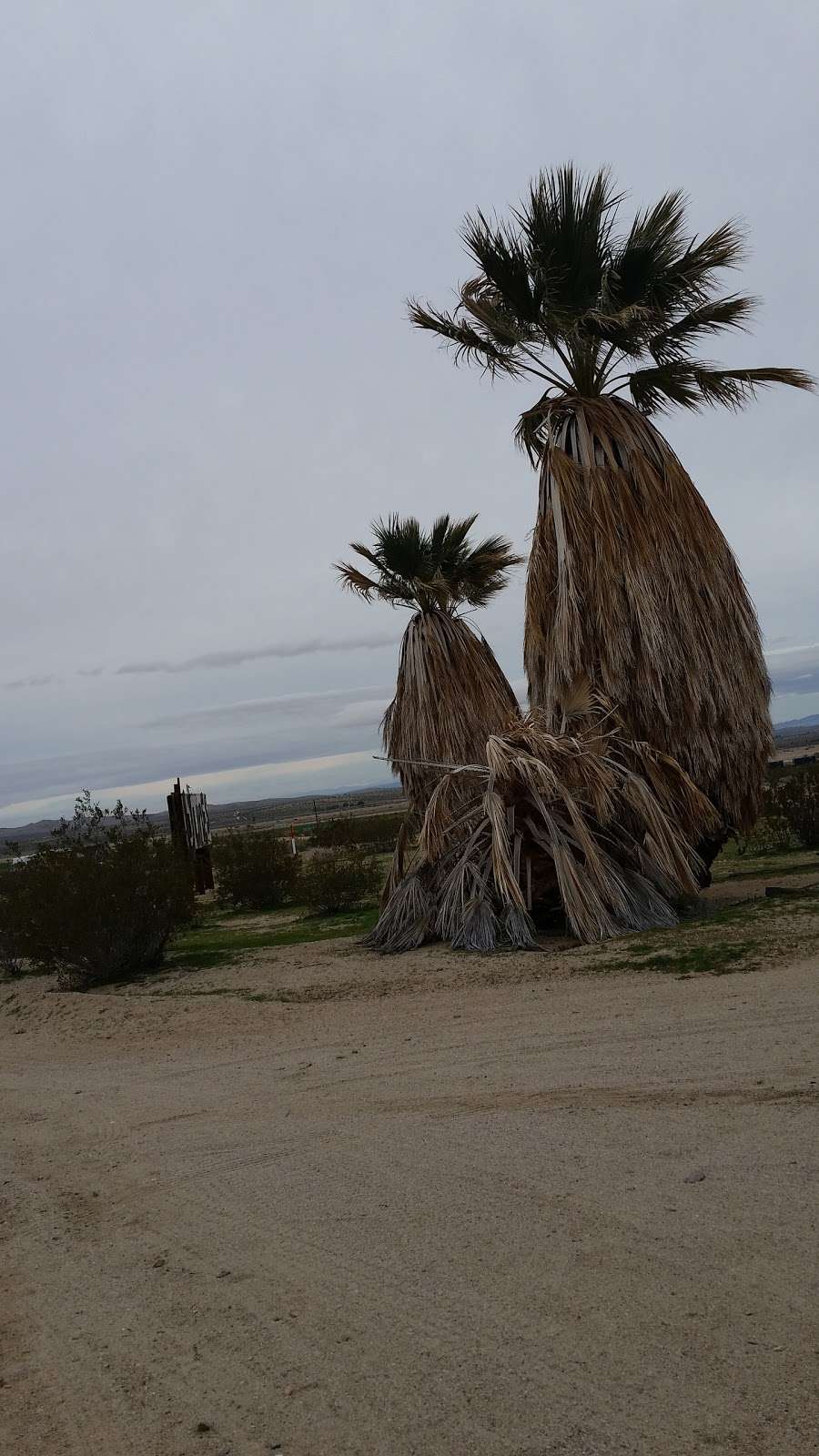 Basic Black Ink | 32788 Sylvan Ave, Barstow, CA 92311, USA | Phone: (760) 253-2112