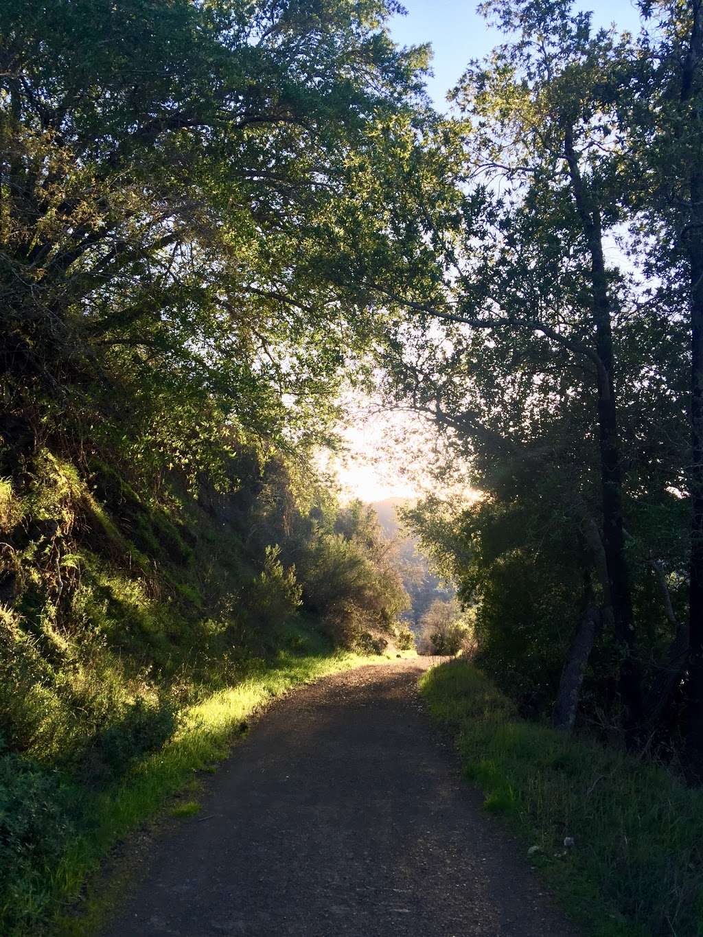 Priest Rock Trail trailhead, Los Gatos CA | Alma Bridge Rd & Priest Rock Trail, Los Gatos, CA 95033, USA