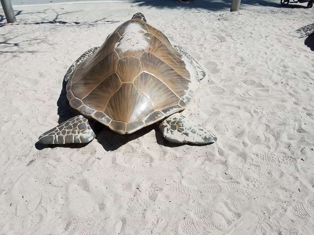 Gumbo Limbo Nature Center | 1801 N Ocean Blvd, Boca Raton, FL 33432 | Phone: (561) 544-8605