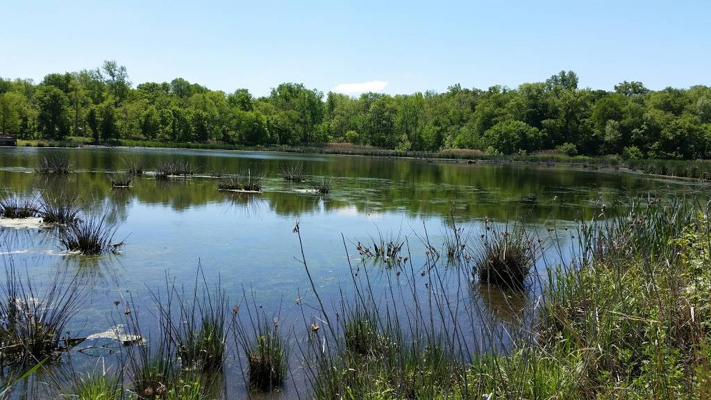 The Watershed Nature Center | 1591 Tower Ave, Edwardsville, IL 62025, USA | Phone: (618) 692-7578