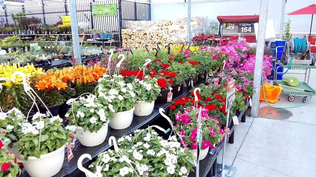 Walmart Garden Center | 3405 Marron Rd, Oceanside, CA 92056 | Phone: (760) 730-1371