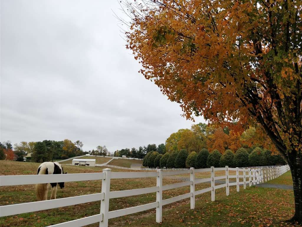 Limestone Acres | Wilmington, DE 19808, USA