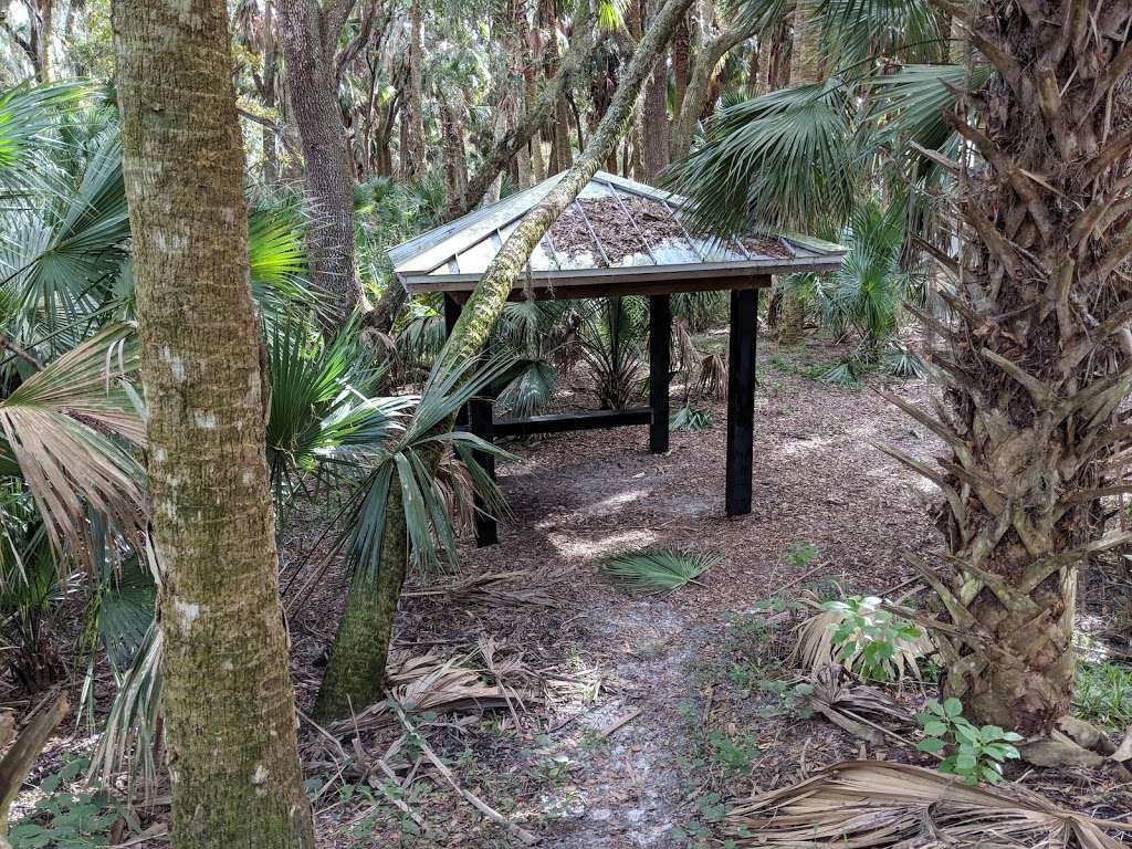 Black Bear Campsite / Shelter | Sanford, FL 32771, USA | Phone: (407) 665-2180