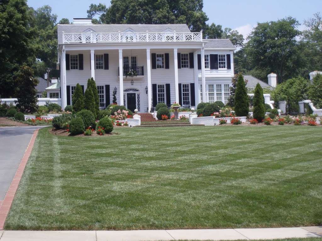 Wilkinson ERA Real Estate | 10706 Sikes Pl #150, Charlotte, NC 28270, USA | Phone: (704) 393-0048