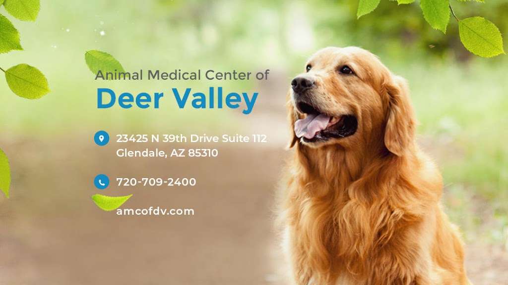 Animal Medical Center of Deer Valley | 23425 N 39th Dr #112, Glendale, AZ 85310, USA | Phone: (623) 780-3535
