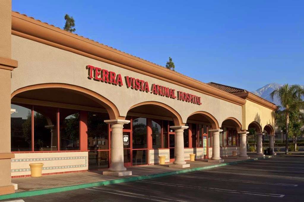 Terra Vista Animal Hospital | 7385 Milliken Ave, Rancho Cucamonga, CA 91730, USA | Phone: (909) 989-3999