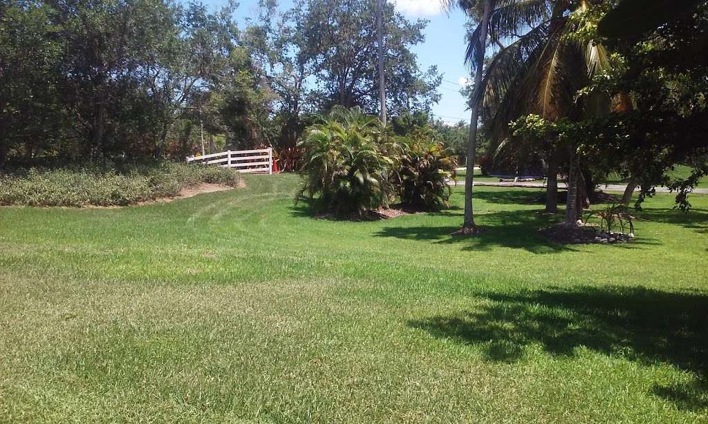 Oasis 7 Nursery | 5791 SW 178th Ave, Southwest Ranches, FL 33331, USA | Phone: (954) 274-1208