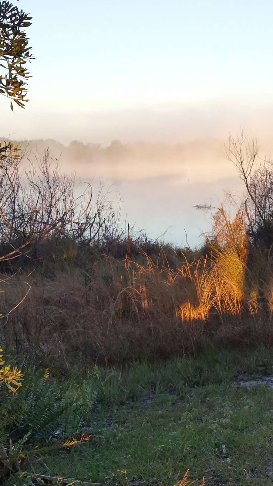 Fay Lake South lakeside Trail | 6310 Fay Blvd, Cocoa, FL 32927, USA | Phone: (321) 633-1904